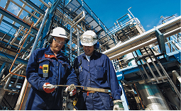 Valve inspection
